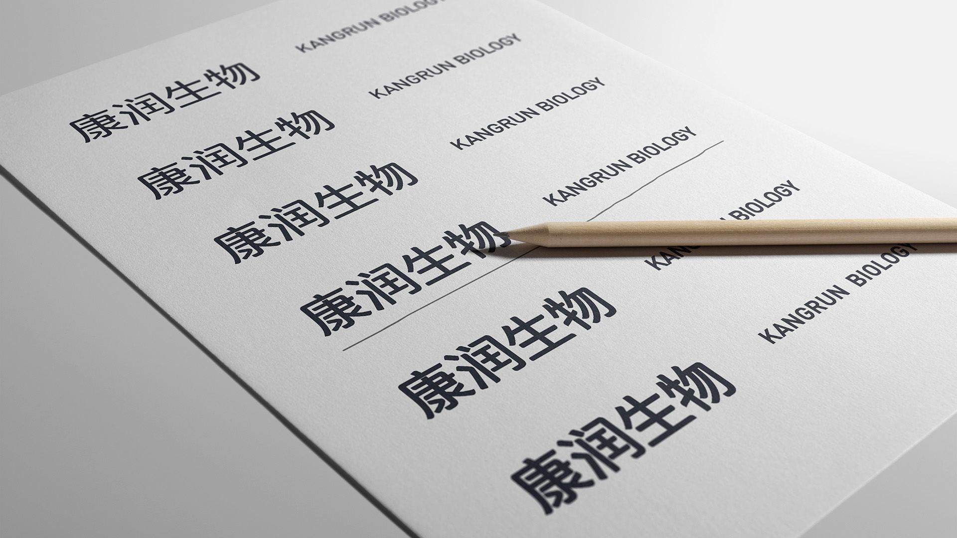 康润生物品牌设计VI设计字体设计 康润生物品牌设计VI设计字体设计