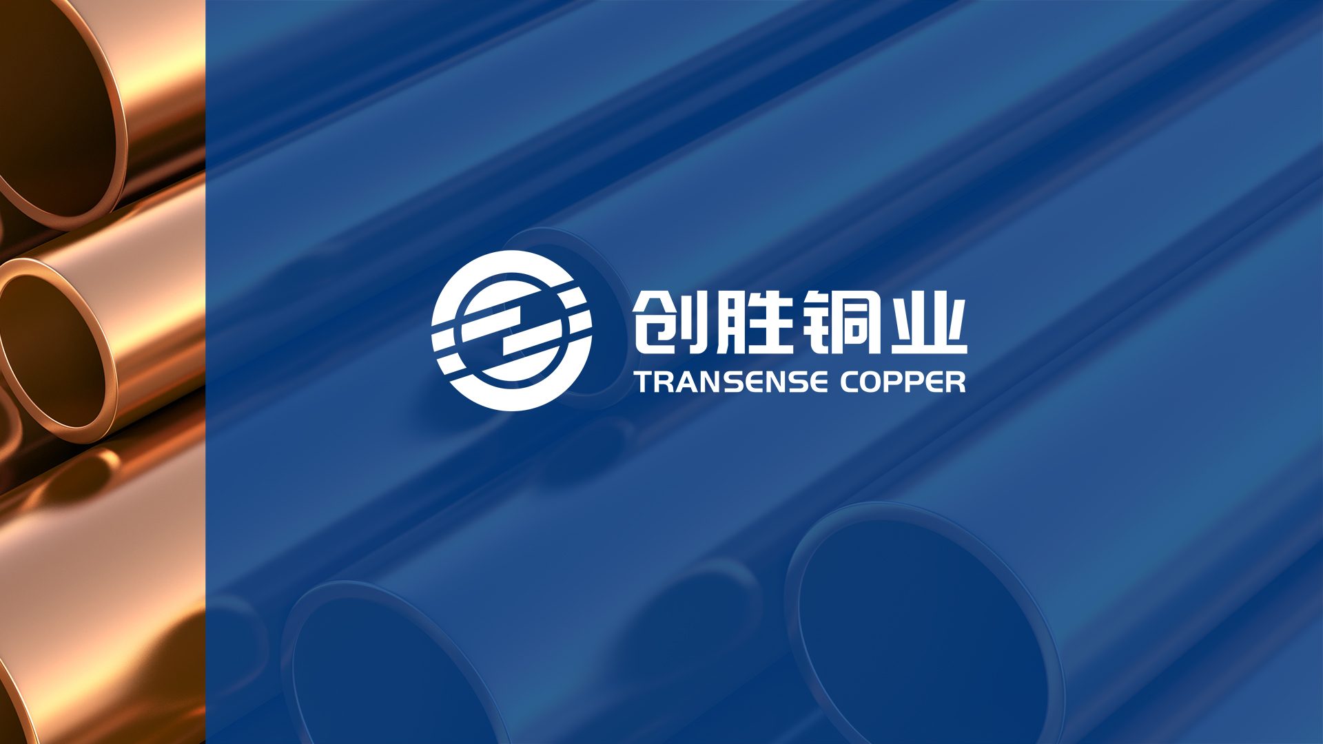 常州广告公司-九洲创胜logo设计品牌设计 常州广告公司-九洲创胜logo设计品牌设计